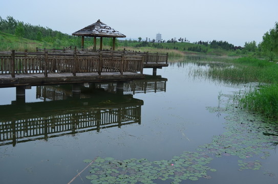 涼亭