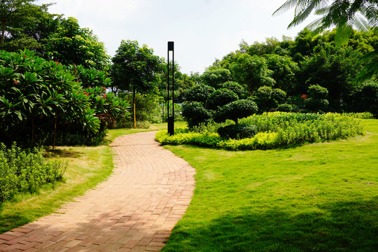 公園樹林風(fēng)景