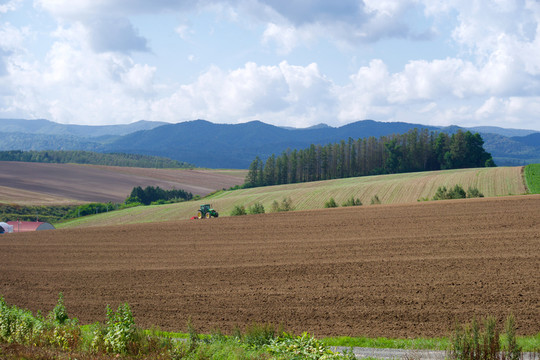 日本北海道美瑛