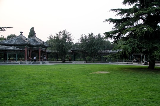 天壇公園 草坪