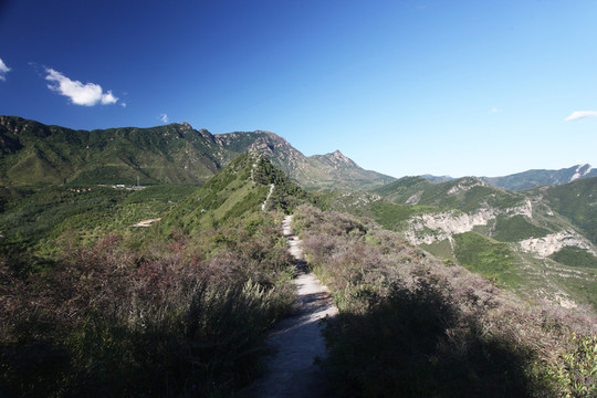 山
