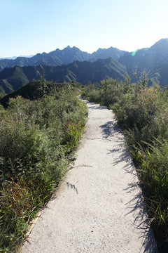 山