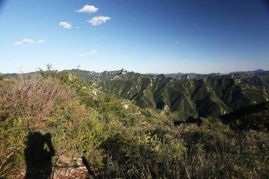 山