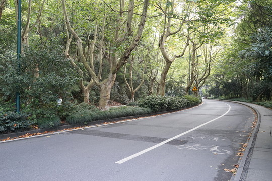 城市道路