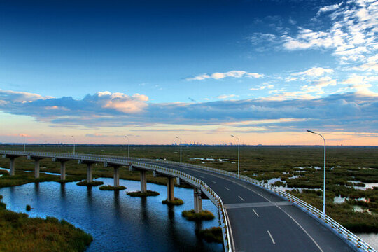 大慶 濕地 高架橋