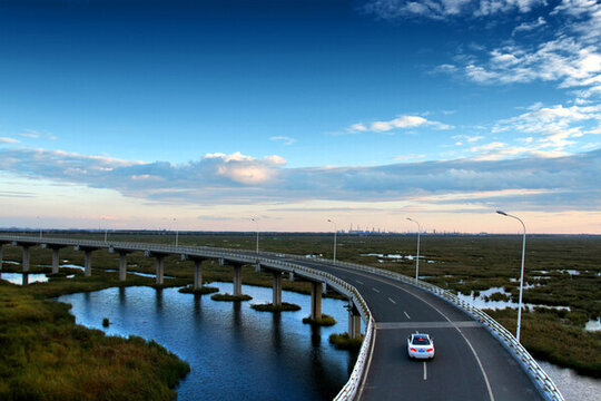 大慶 濕地 高架橋