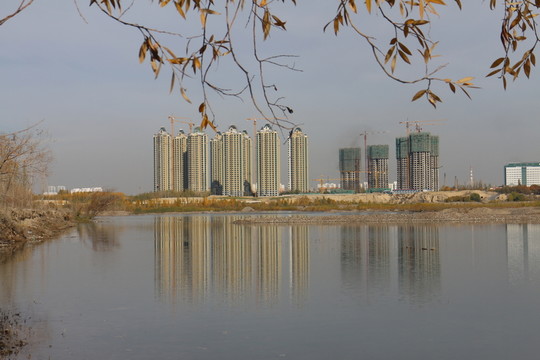 樹影都市