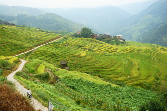 龍脊