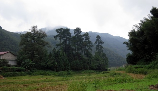 山區(qū)