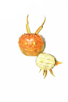 螃蟹 螃蟹創(chuàng)意圖 創(chuàng)意造型