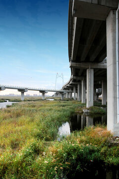 大慶 濕地 高架橋