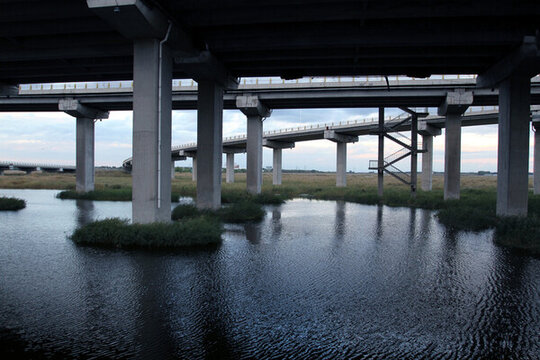 大慶 濕地 高架橋