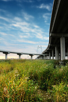 大慶 濕地 高架橋