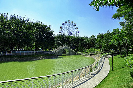 世紀(jì)公園摩天輪休閑木棧道
