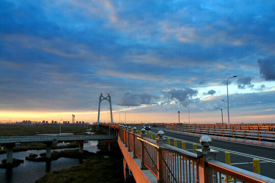 大慶 濕地 高架橋