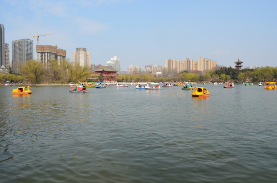 興慶湖景