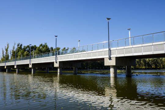 橋