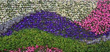 花墻