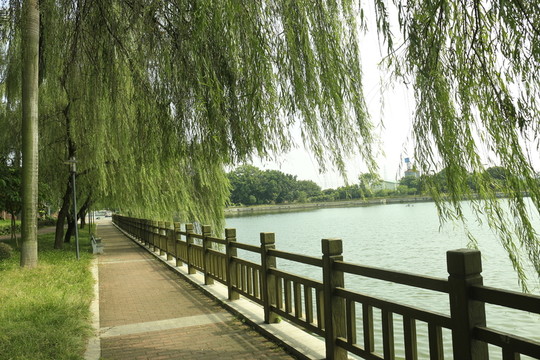湖邊風(fēng)景