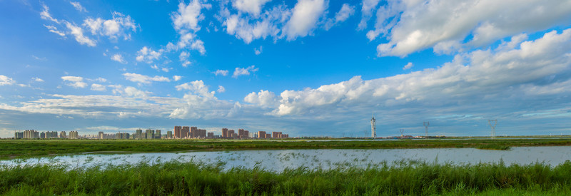 大慶龍鳳濕地
