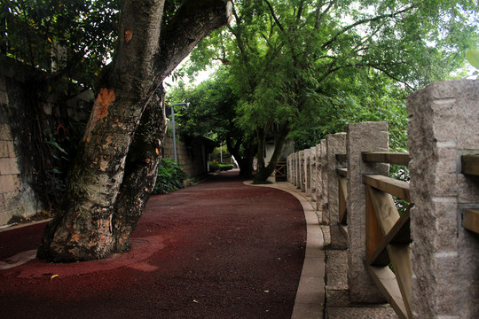 公園景觀