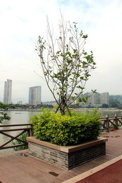 公園景觀設(shè)計