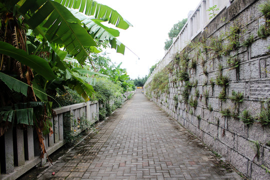 公園景觀