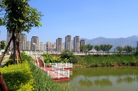 公園景觀