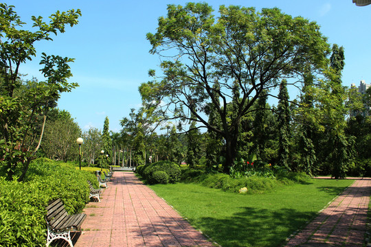 公園景觀