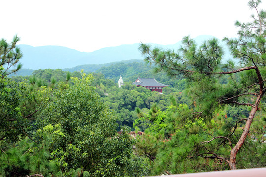 金雞山公園