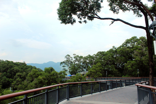 金雞山公園