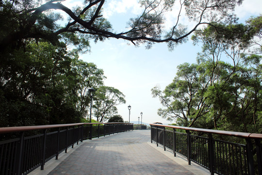 金雞山公園
