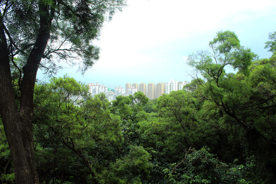 金雞山公園