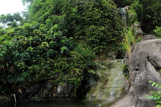 公園景觀