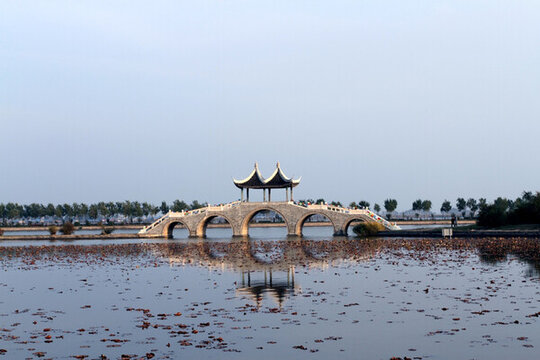 公園 濕地 人文景觀