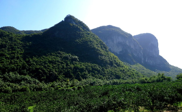 高山