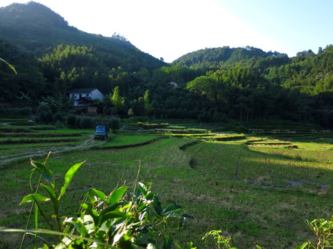 山區(qū)