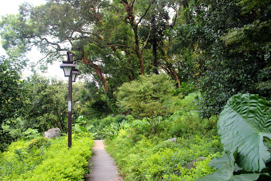I福州西湖公園