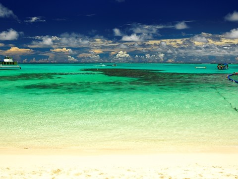 夏日海濱
