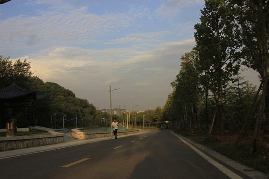 城市綠道
