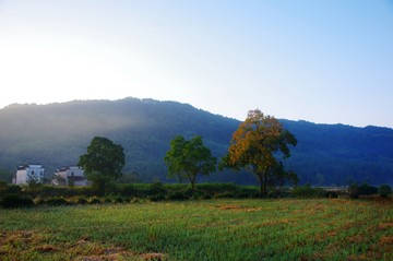 徽派建筑