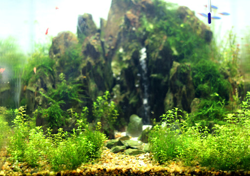 水族館