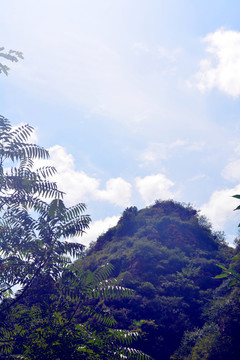 群山連綿