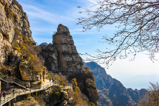 風(fēng)景