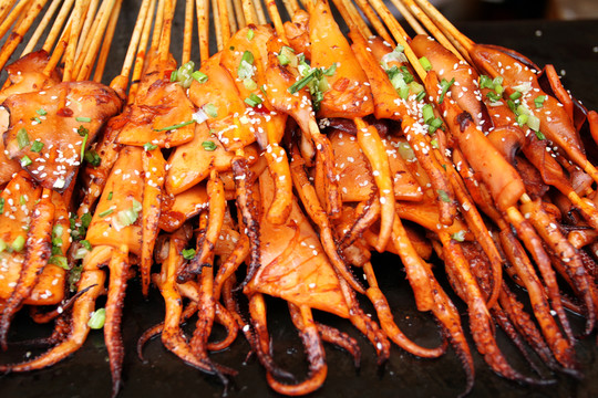 魷魚