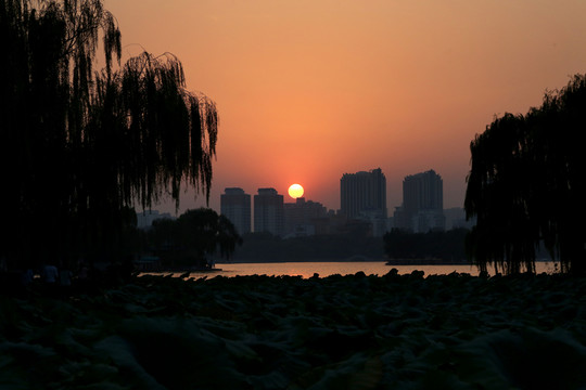 大明湖夕陽