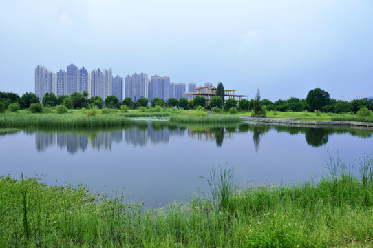 湖水綠岸