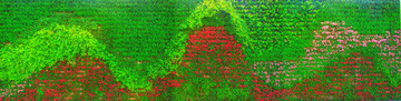 花墻（大畫幅）