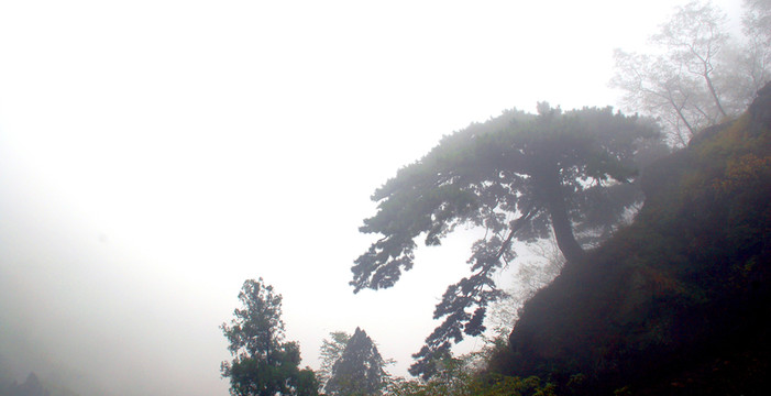 山景大圖 山脈全景