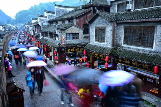 雨中鳳凰